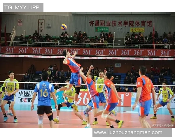 成都排球队团队协作变革引发热议推动排球运动新发展