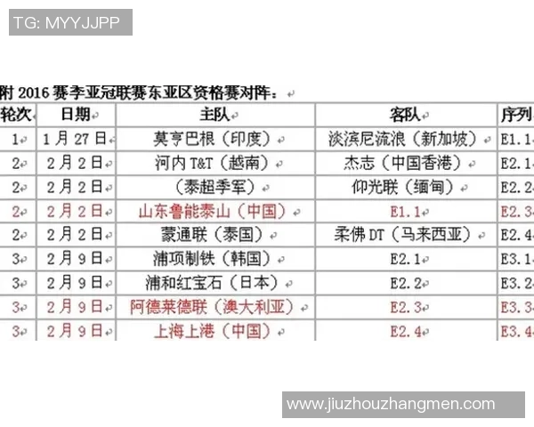 成都与上海排球队对决赛后分析与经验总结